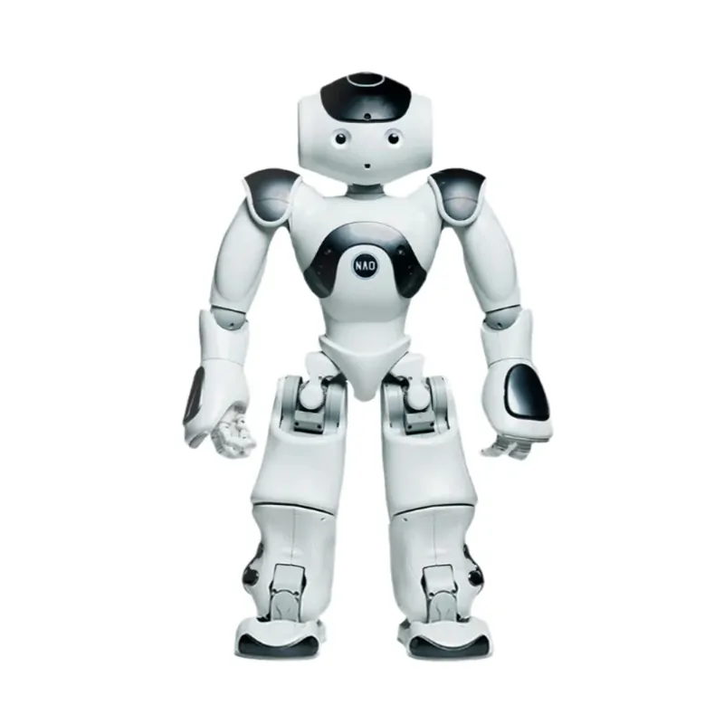 Vzdekávací robot - Nao