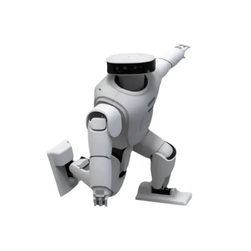 Vzdelávací robot - Roban