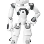 Vzdekávací robot - Nao