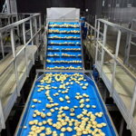 Packhouse dopravníky a výťahy – 7107