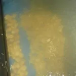 SupaWash
