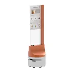 OLED Advertising Robot