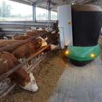 Autonómny kŕmny robot SHUTTLE ECO
