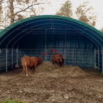 PRÍSTREŠOK PRE ZVIERATÁ 8 M X 8 M 900G/M2