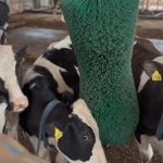 Drbadlo Eco Agricow