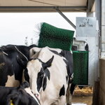 Drbadlo elektrické Double Agricow