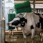 Drbadlo elektrické Double Agricow